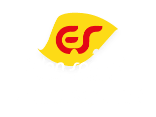 Logo Elan Sportif